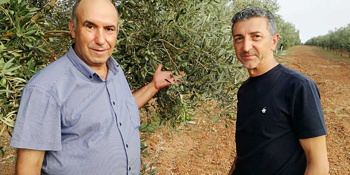 Da sinistra un olivicoltore insieme a Domenico Salviani